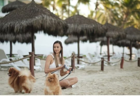 10 Luxe Pet-Friendly Resorts That Pamper You Both in Style