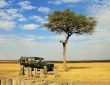 Best Safari Destinations 2025 for Adventure and Luxury