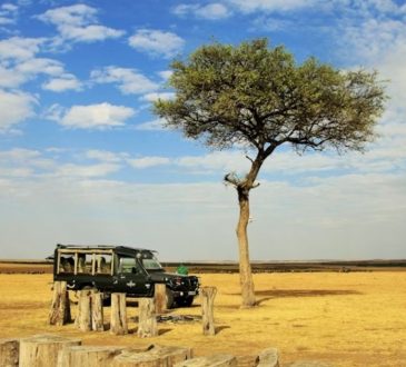 Best Safari Destinations 2025 for Adventure and Luxury