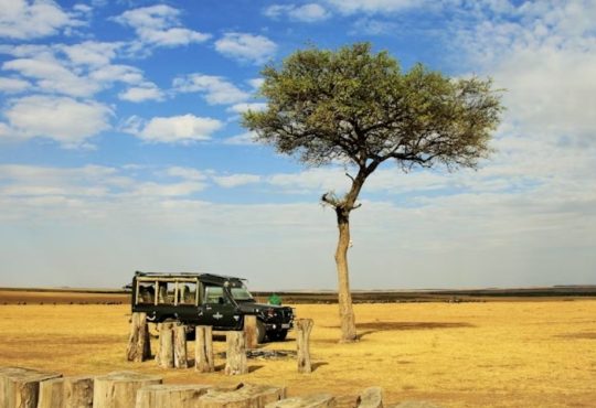 Best Safari Destinations 2025 for Adventure and Luxury